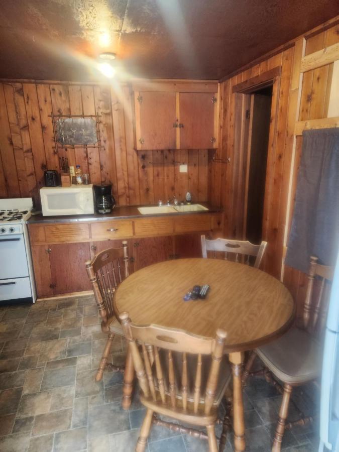 Cabin 2 Manistique Εξωτερικό φωτογραφία