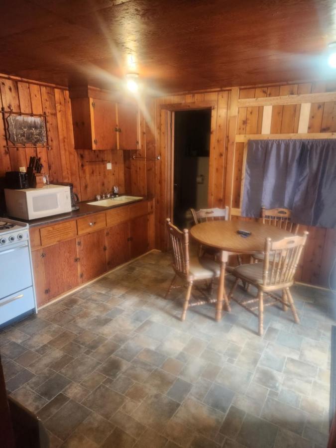 Cabin 2 Manistique Εξωτερικό φωτογραφία